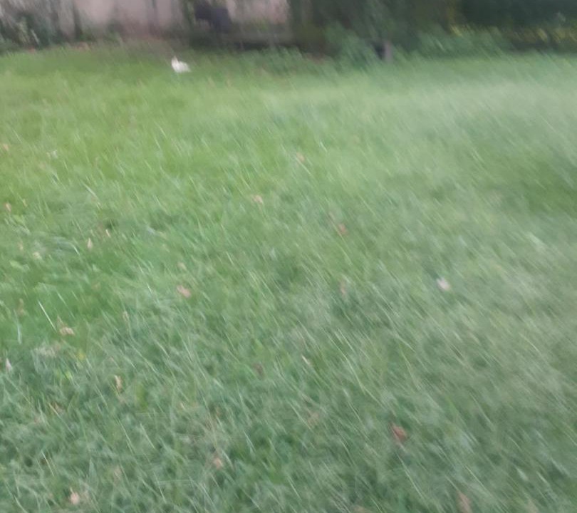 Photo of Others in Ampere