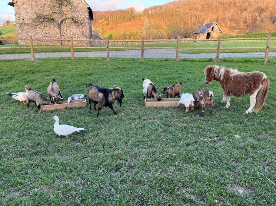 Photo of Others in La Gohanniere