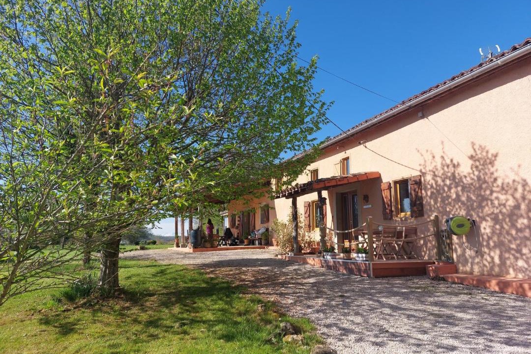 Photo of Others in Monties