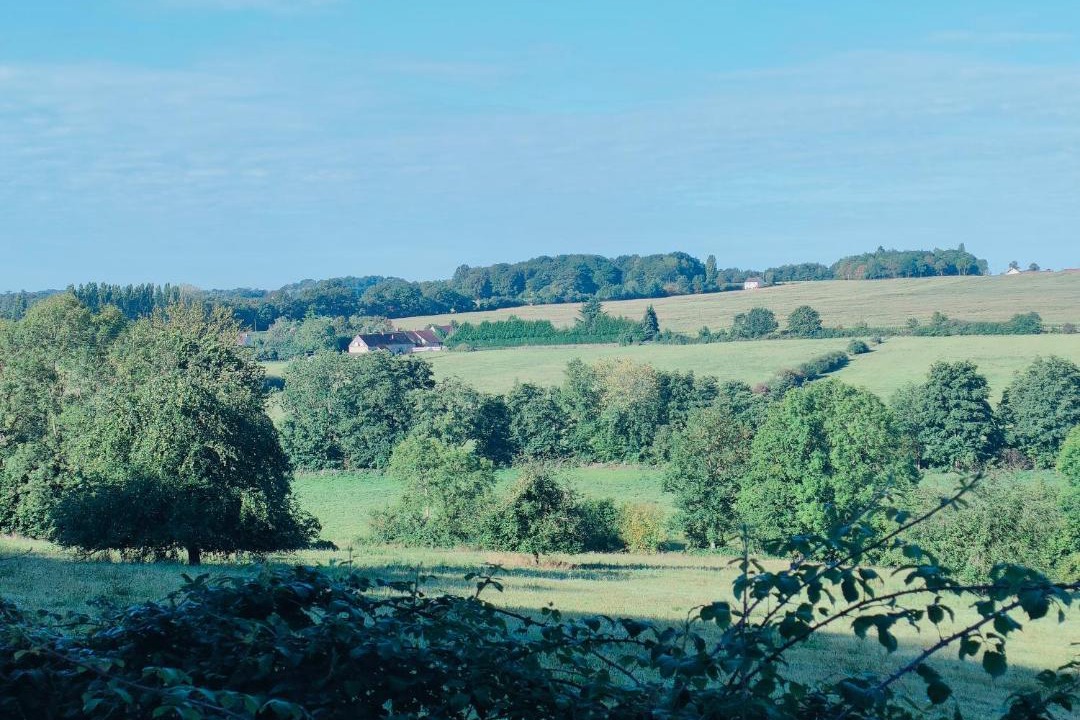 Photo of Outdoor in La Chapelle-Montligeon