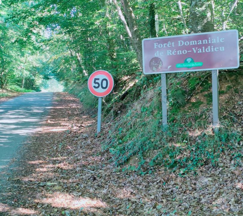Photo of Others in La Chapelle-Montligeon