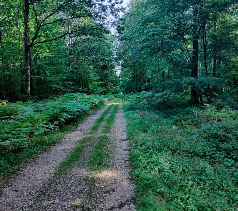 Photo of Outdoor in La Chapelle-Montligeon