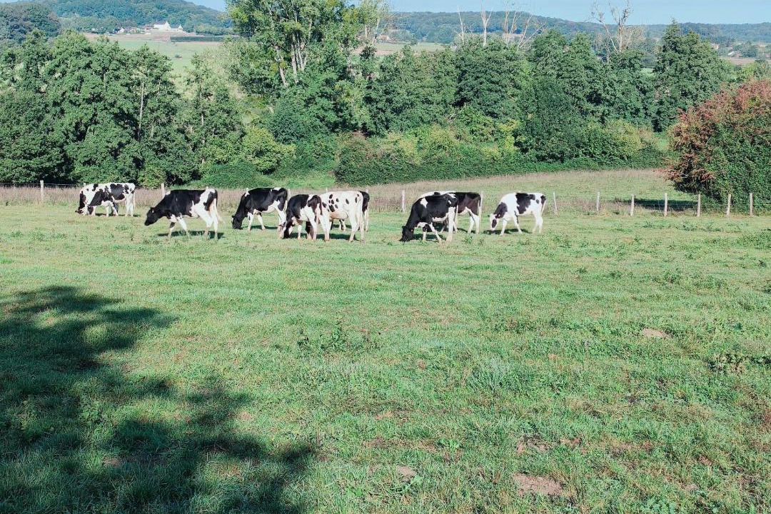 Photo of Others in La Chapelle-Montligeon