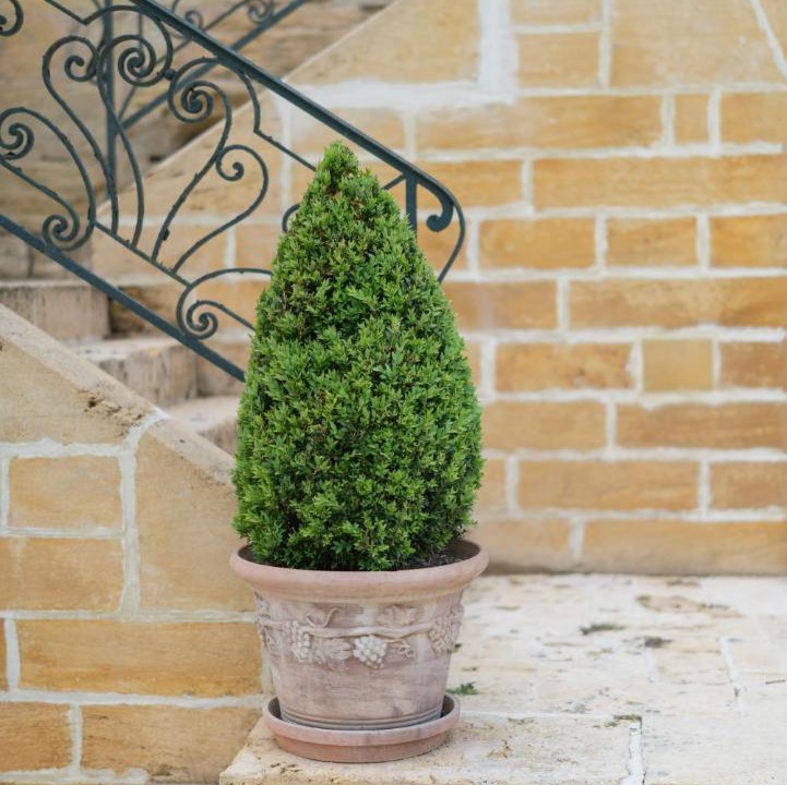 Photo of Others in Mauzens-et-Miremont