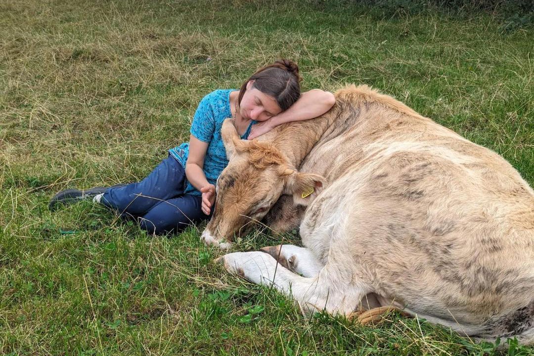 Photo of Human In Picture in Castle Bytham