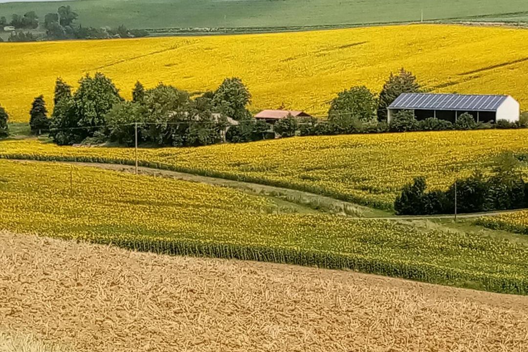 Photo of Others in Avignonet-Lauragais