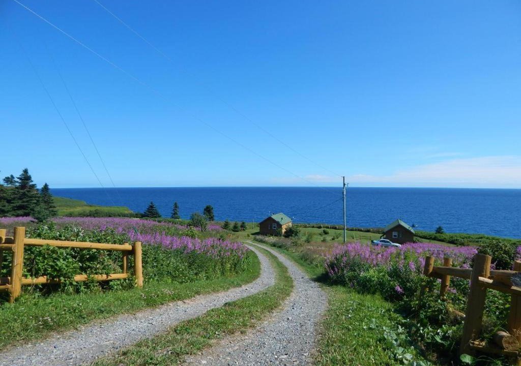 Photo of Others in Sainte-Therese-de-Gaspe