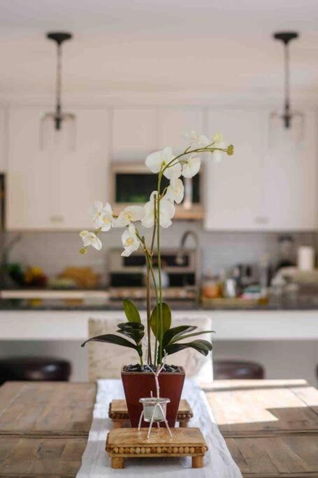 Photo of Others in Maplecrest