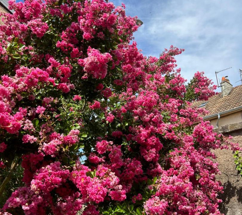 Photo of Outdoor in Lure