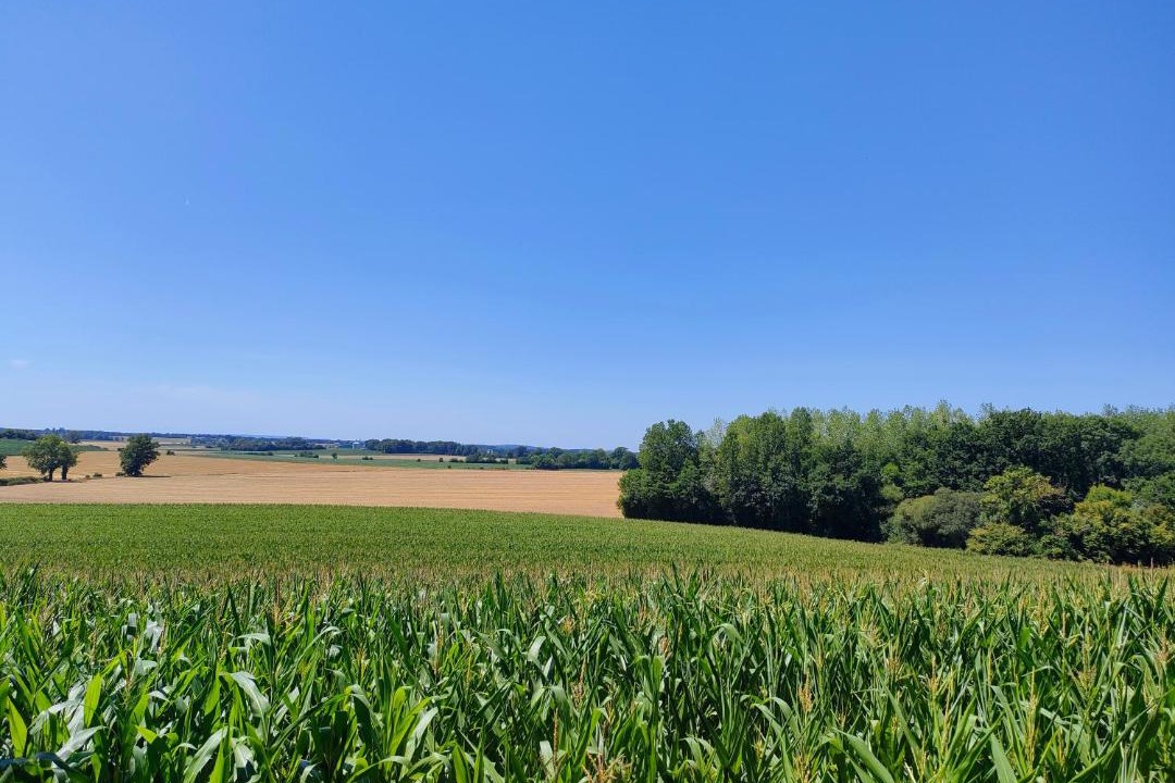 Photo of Outdoor in La Chapelle-Montligeon