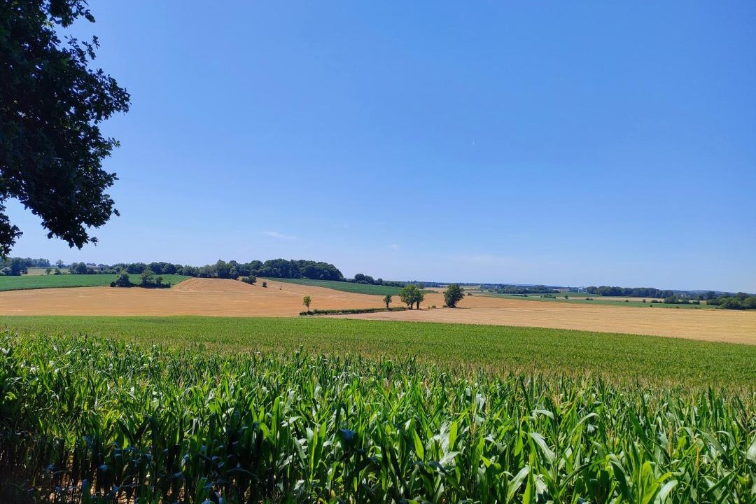 Photo of Others in La Chapelle-Montligeon