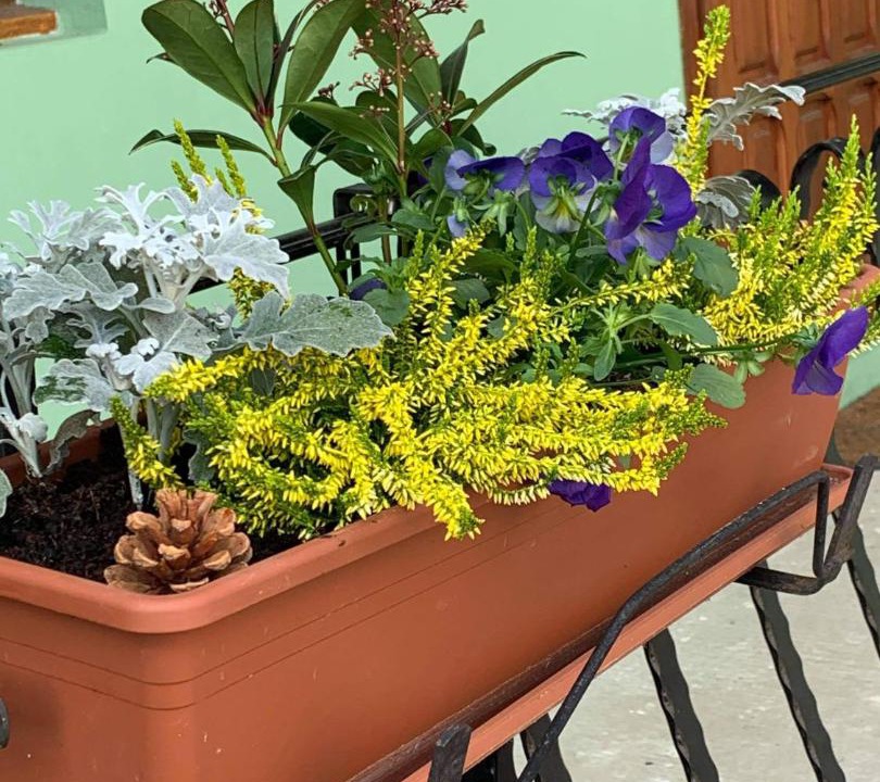 Photo of Others in Blamont