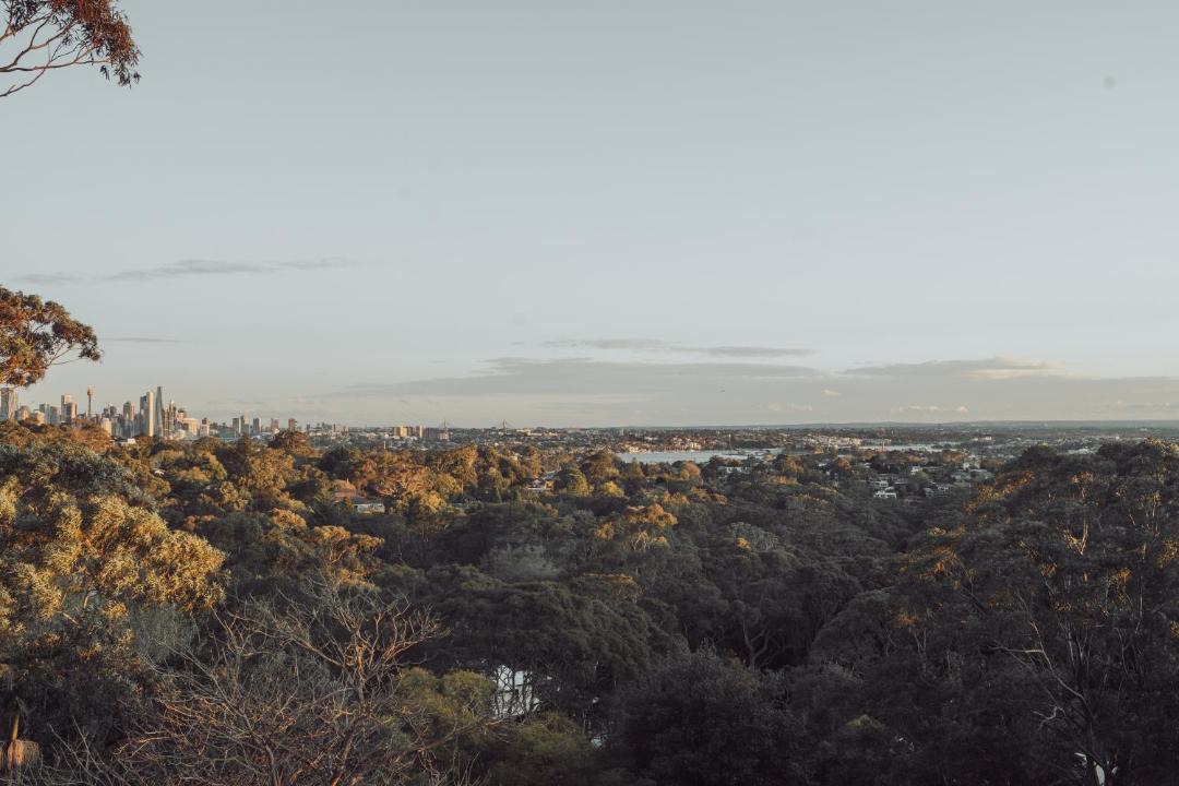 Photo of Outdoor in Greenwich