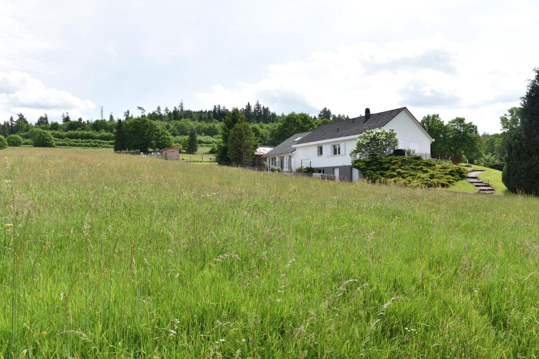 Photo of Others in Remomeix