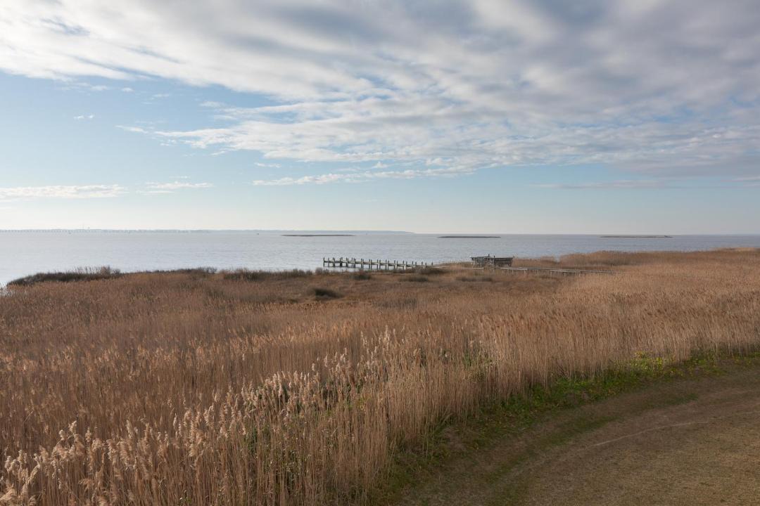 Photo of Outdoor in Nags Head
