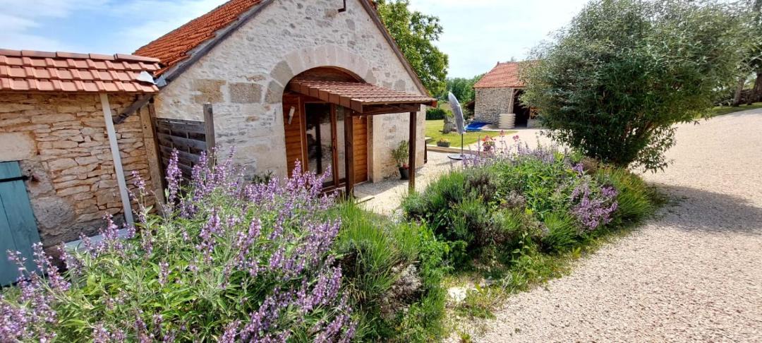 Photo of Others in Orniac