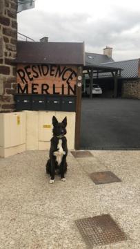 Photo of Others in Saint-Malon-sur-Mel