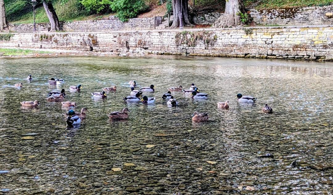 Photo of Others in Beze