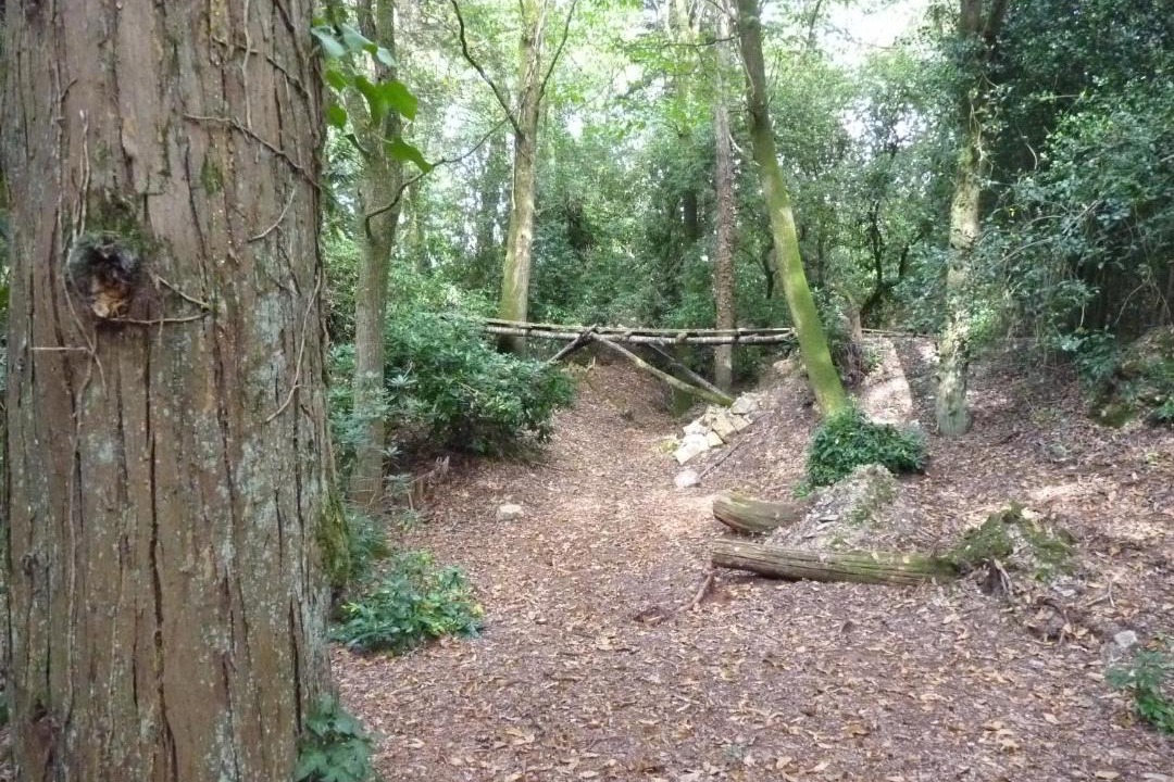 Photo of Others in Comblessac