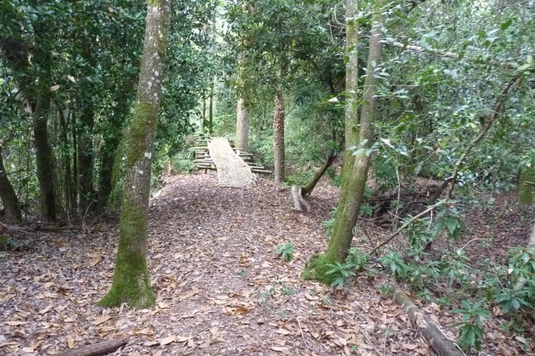 Photo of Outdoor in Comblessac