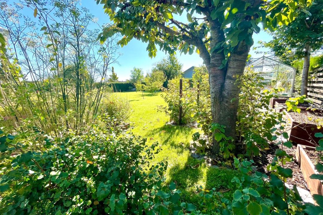 Photo of Outdoor in Vallensaek