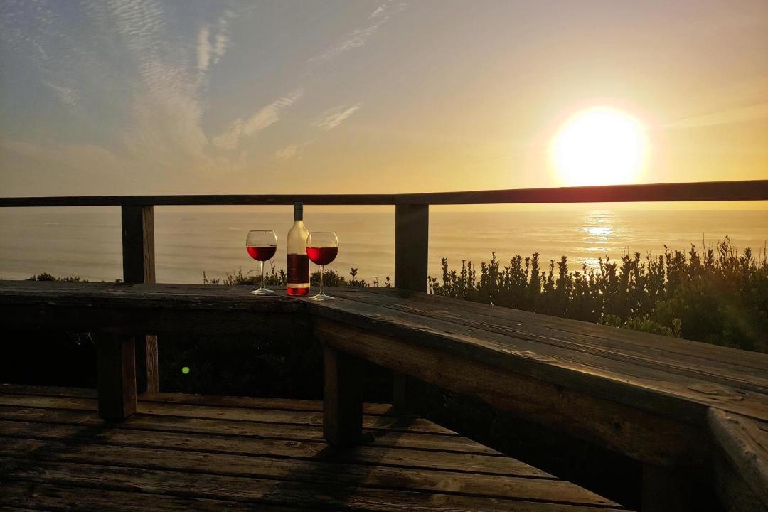 Photo of Others in Seal Rock