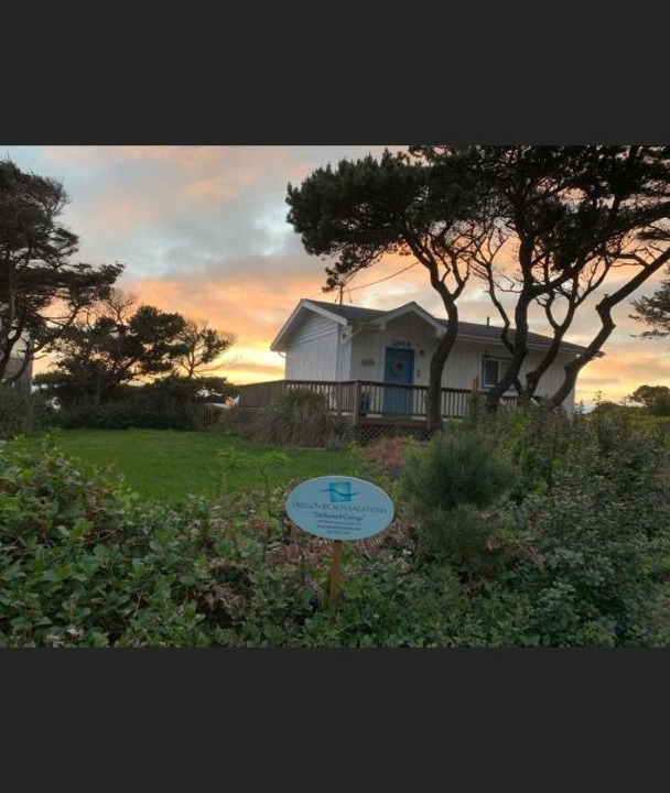 Photo of Others in Seal Rock