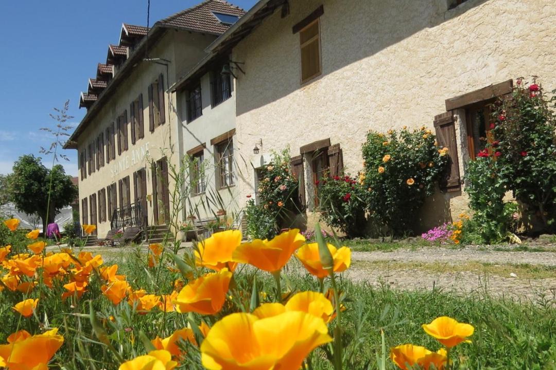 Photo of Others in Saint-Franc