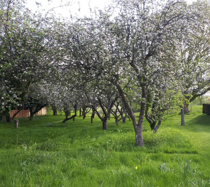 Photo of Others in Dorking