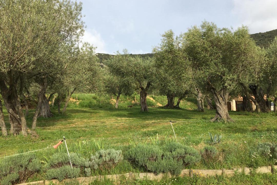 Photo of Others in Cucugnan