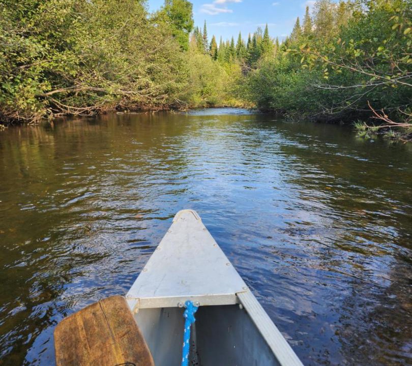 Photo of Others in Littleton