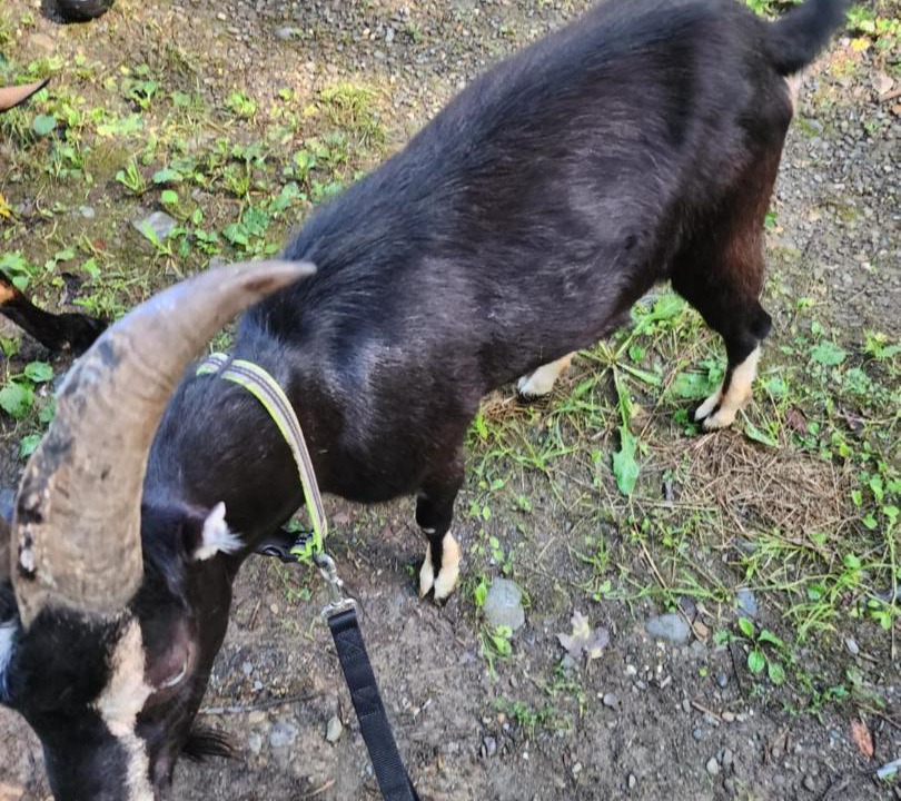 Photo of Others in Littleton