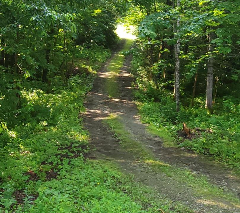 Photo of Others in Littleton