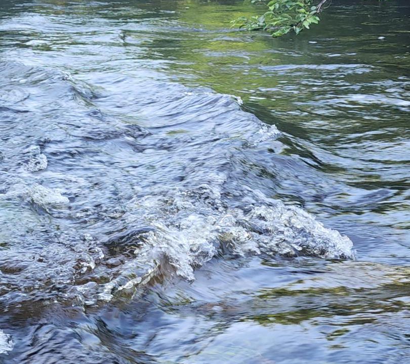 Photo of Others in Littleton