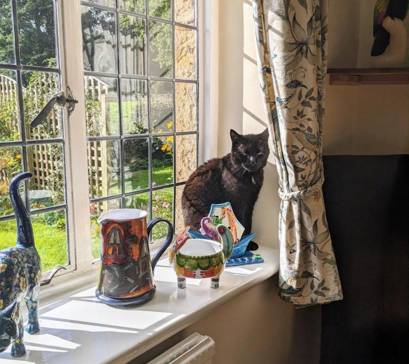 Photo of Others in Catton