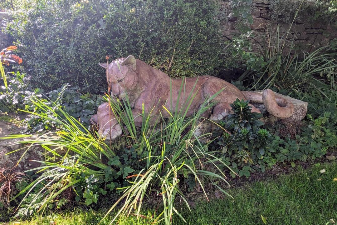 Photo of Others in Catton