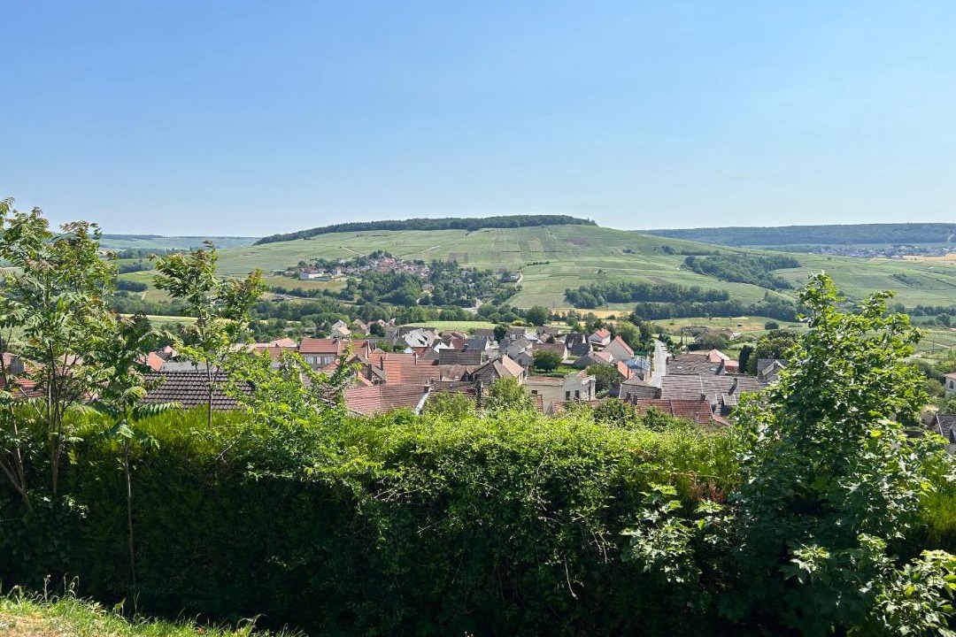 Photo of Outdoor in Chatillon-sur-Marne