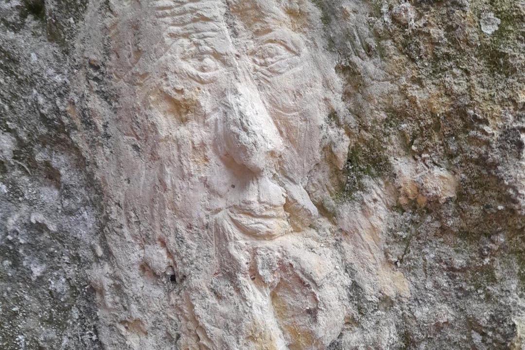Photo of Others in Aubigne-Racan