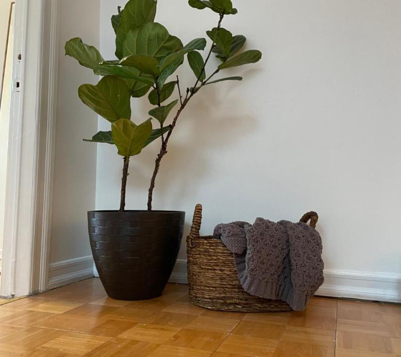 Photo of Others in Washington Heights