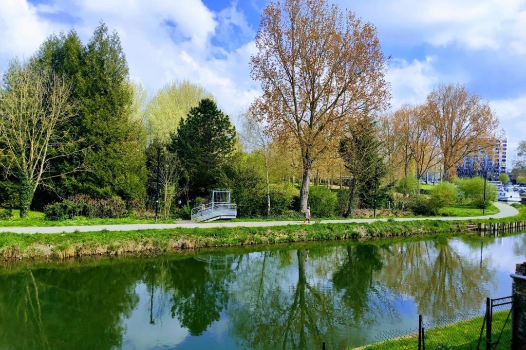 Photo of Others in Saint-Leu