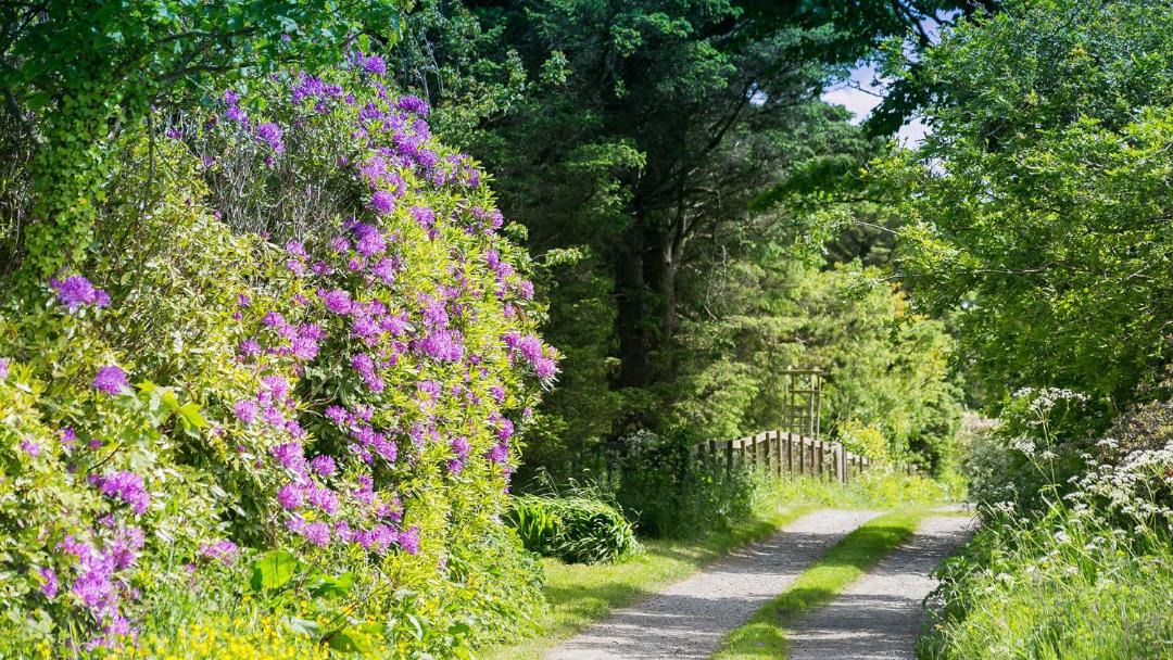 Photo of Others in Llanerchymedd