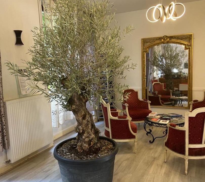 Photo of Livingroom in Meaulne-Vitray