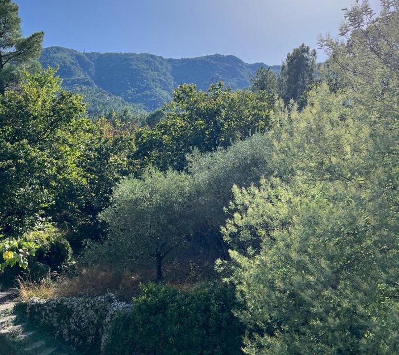 Photo of Outdoor in Gravieres