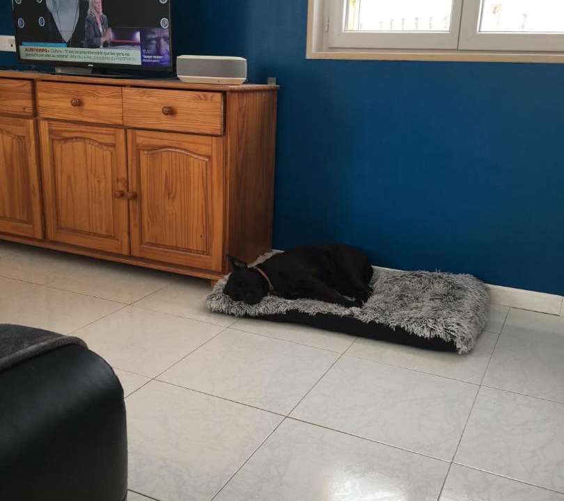 Photo of Others in Givonne