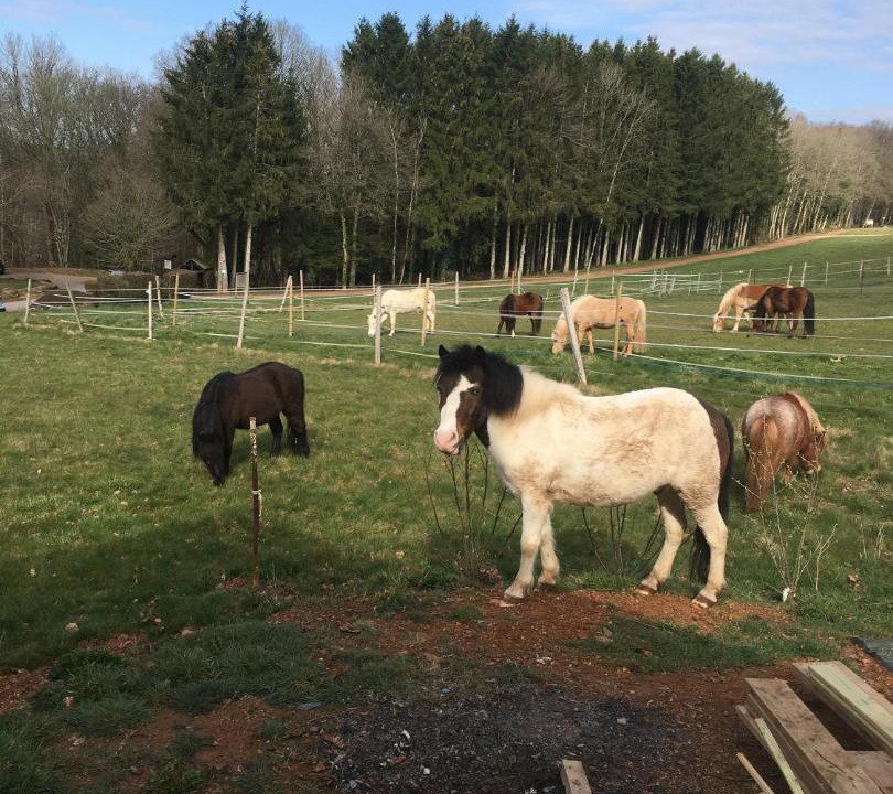 Photo of Others in Givonne