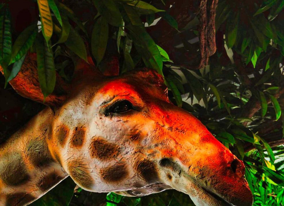 Photo of Others in L'Isle-Adam