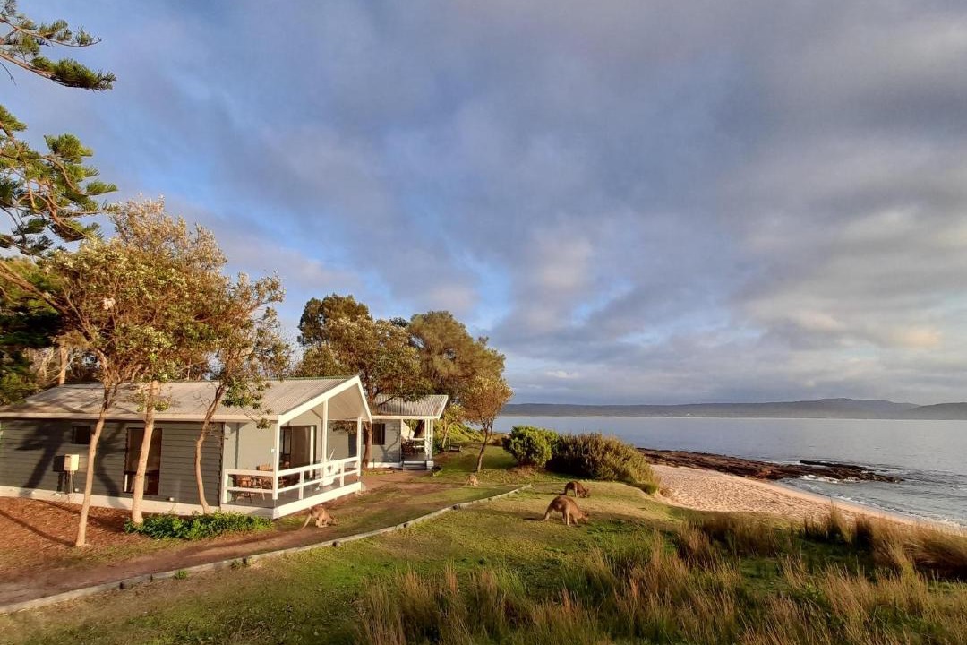 Photo of Others in South Durras