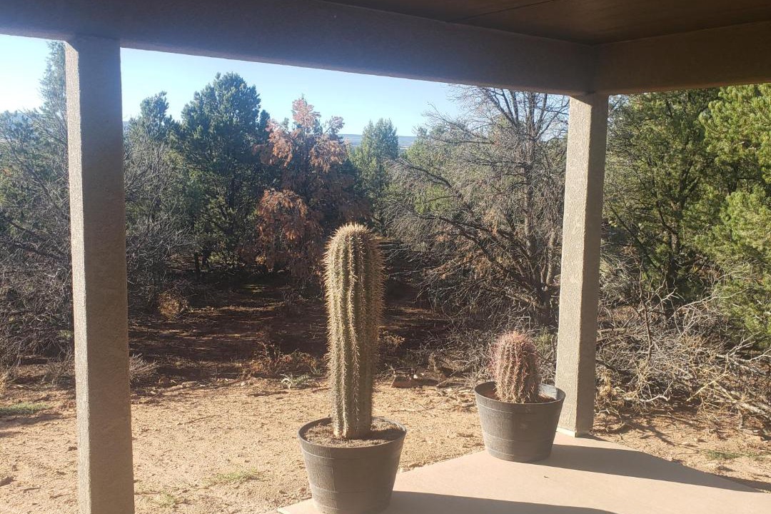 Photo of Patio Balcony in Glade Park