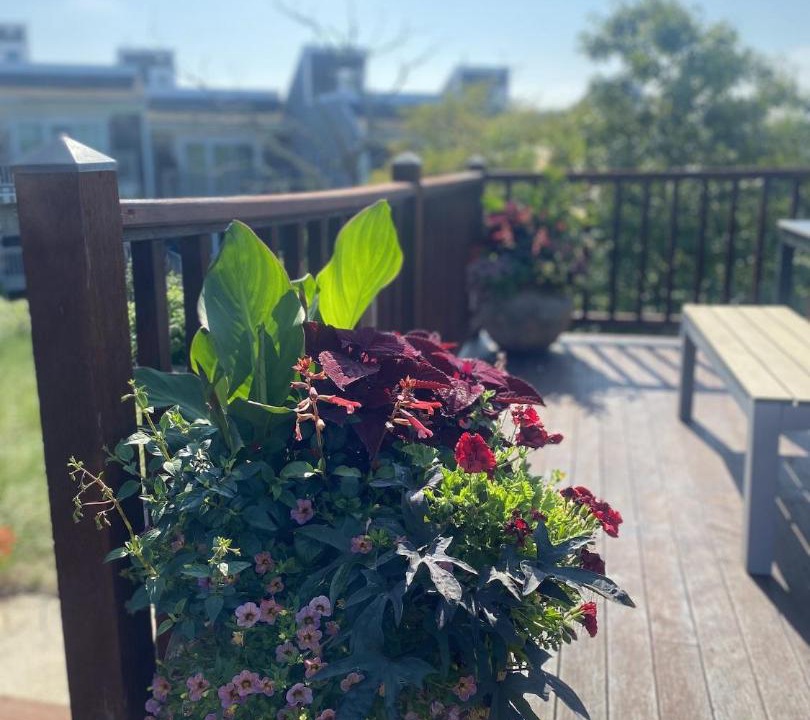 Photo of Others in Provincetown