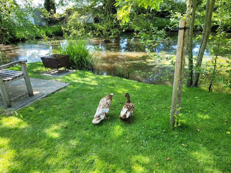 Photo of Others in Smarden